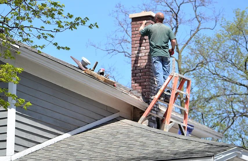 Chimney & Fireplace Inspections Services in Rutherford, NJ
